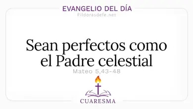 Evangelio del D&iacute;a S&aacute;bado 28 Feb 2026: Mateo 5,43-48 y Reflexi&oacute;n Cat&oacute;lica ⭐️